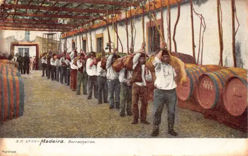 B201 Portugal Madeira Borracheiros Weinmacher Fass Vintage Postkarte