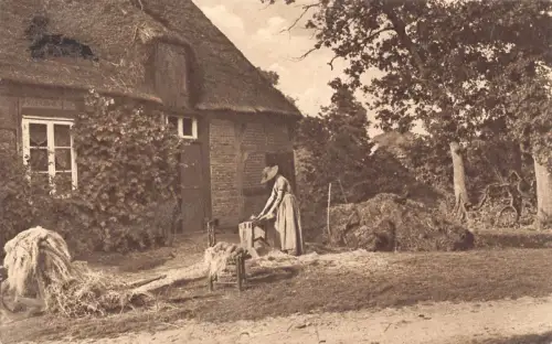 B189 Landwirtschaft 1909 Dorfhaus Bäuerin arbeitet Heu Vintage Postkarte