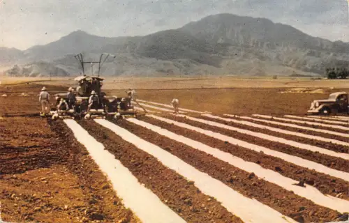 B186 US Landwirtschaft Legen Mulchpapier Vintage Postkarte