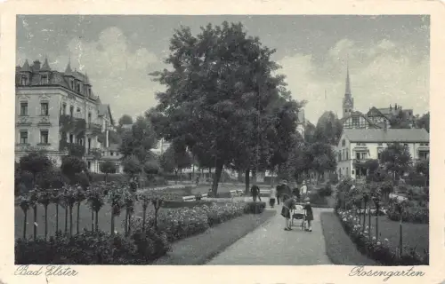B196 Deutschland Bad Elster Rosengarten Rosengarten Vintage Postkarte