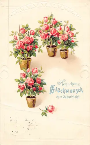 B193 Geburtstagsgrüße 1910 Rosen Blumen Büsche in Töpfen Prägepostkarte