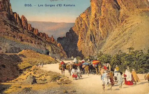 B204 Algerien Les Gorges d'El Kantara Kamele Ureinwohner Vintage Postkarte