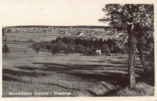 B203 Deutschland 1936 Sommerfrische Zinnwald i Erzgebirge RPPC Vintage Postkarte