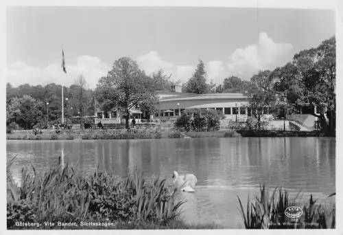 A923 Schweden Goeteborg Vita Bandet Slottsskogen Schwanensee RPPC Vintage Postkarte