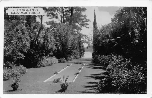 A923 US Tallhassee Florida Killearn Gardens Vintage Postkarte