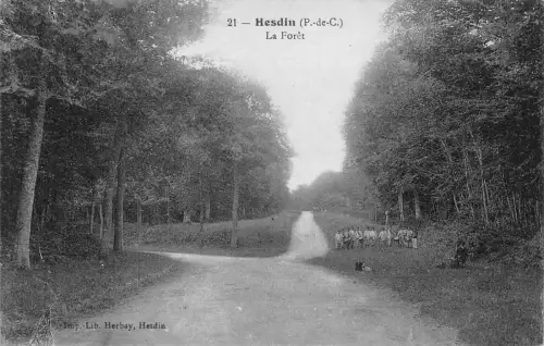 C025 Frankreich, Hesdin La Foret Vintage Postkarte