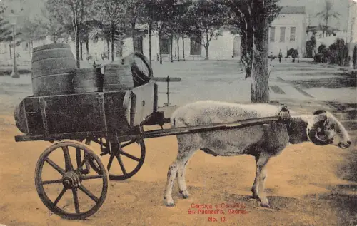 A927 Portugal St Michael Azoren Carroca e Carneiro Ziegenwagen Vintage Postkarte