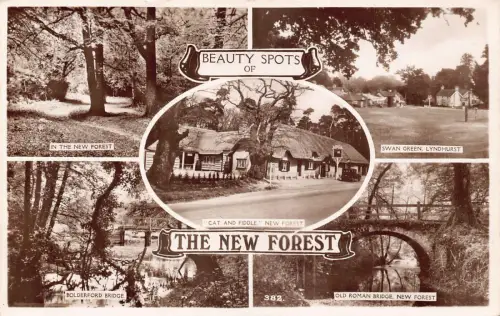 B214 England 1949 Beauty Spots of The New Forest Roman Bridge RPPC Postkarte