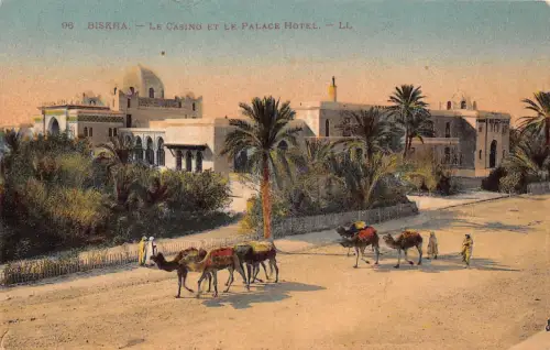 A930 Algerien Biskra Casino und Palace Hotel Kamele Vintage Postkarte
