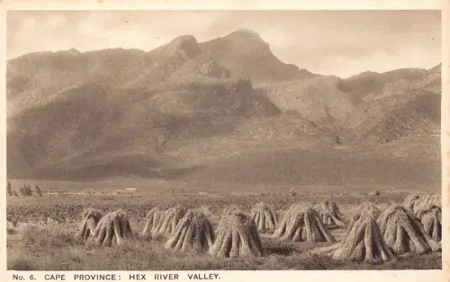 A930 Südafrika Kap Provinz Hex River Valley Vintage Postkarte