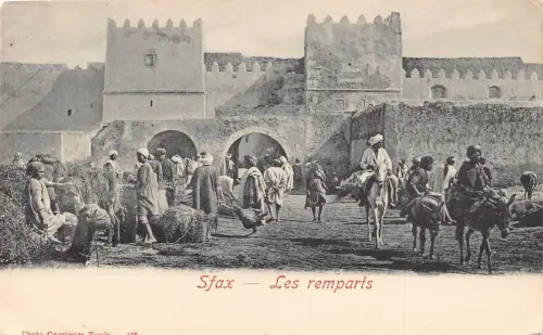 A931 Tunesien Sfax Les Remparts Kamele Ureinwohner Männer Schwanger Vintage Postkarte