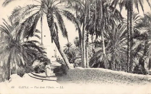 A931 Tunesien Gafsa Vue dans l'Oasis Vintage Postkarte