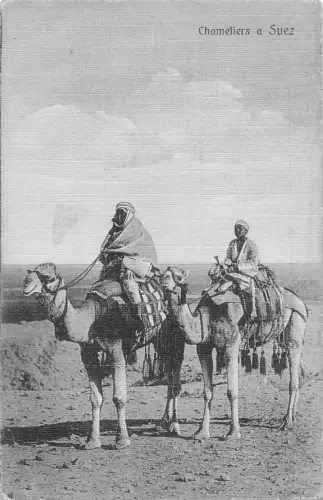 A933 Ägypten Chameliers a Suez Kamele Beduinen Ethno Vintage Postkarte