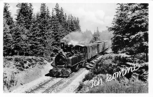 Dampflok in Bewegung in Waldbahn Ich komme! RPPC Vintage Postkarte