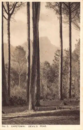 A934 Südafrika Kapstadt Teufelsspitze Wald Vintage Postkarte