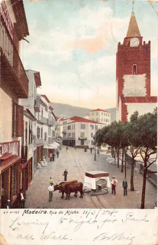 A934 Portugal Madeira Rua do Aljube Straße Ochsenwagen 1904 Vintage Postkarte