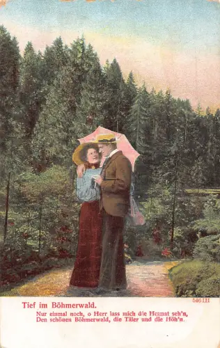 Tief im Böhmerwald Paar im Wald sprechender Mann hält Regenschirm Vintage Postkarte
