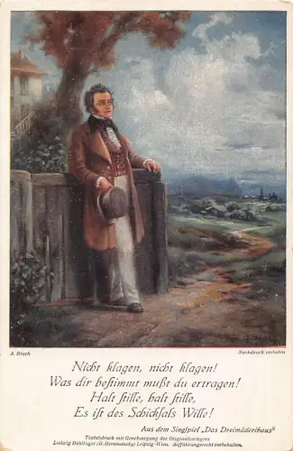 Komponist Franz Schubert ruht auf Zaun Landschaftskunst signiert A Broch Postkarte