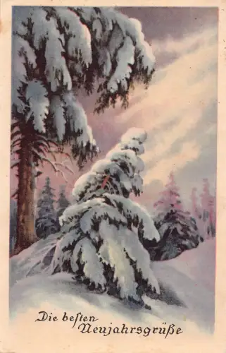 Neujahrsgrüße Kiefer mit Schnee bedeckt Vintage Postkarte