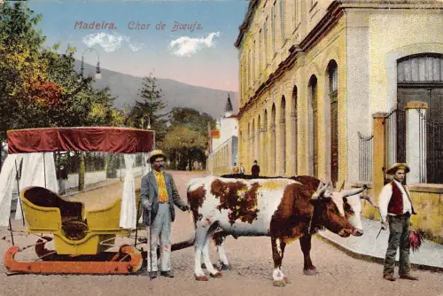 Portugal Madeira Char de Boeufs Ochsenkarre Bauern Vintage Postkarte B933