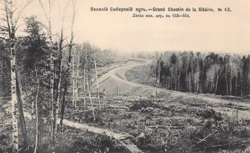Russische Transsibirische Eisenbahnlinie bei 653-654 Wald Nr 43 Postkarte B682