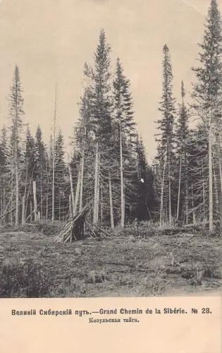 Russland Transsibirische Eisenbahn Kozulskaja Taiga Wald Nr 28 Postkarte B682
