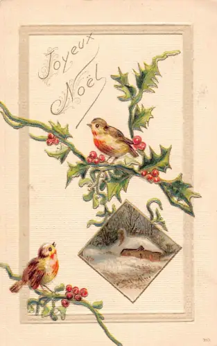 L365 Weihnachtsgrüße 1908 Vögel Heiliger Baumzweig Vintage Postkarte
