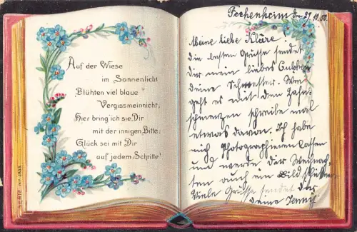 Vergiss mich 1900 geöffnet Buch Vergissmeinnicht Blumen Vintage Postkarte