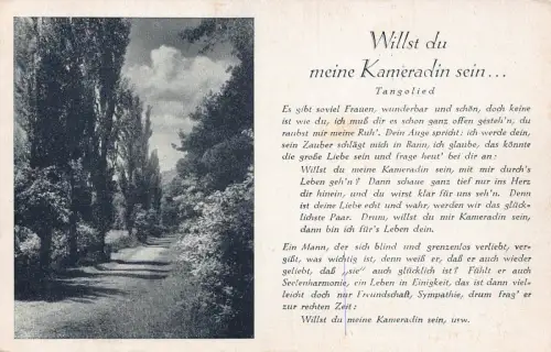 Tango Song Willst du meine Kameradin Sein Forest Road Vintage Postkarte