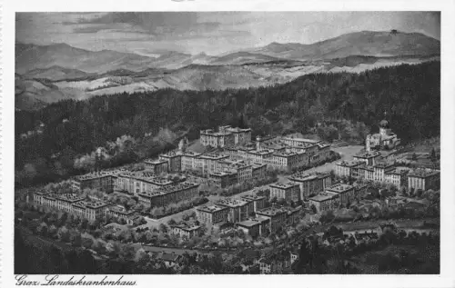 C037 Österreich, Graz Panoramablick Vintage Postkarte