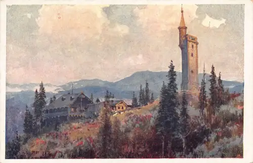 C040 Österreich, Mariazell Buergeralpe Vintage Postkarte