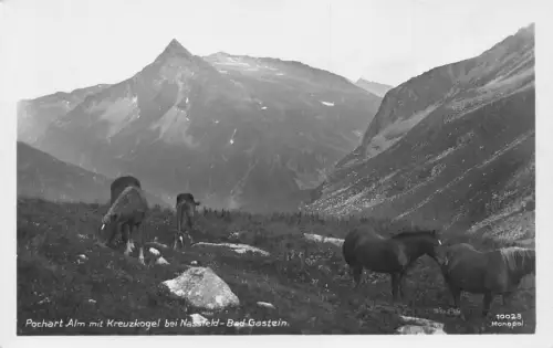 C041 Österreich, Pochart Alm mit Kreuzkgel bei Nassfeld Vintage Postkarte
