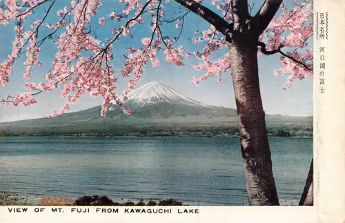 B223 Japan Blick auf den Berg Fuji vom Kawaguchi See Kirschblütenbaum Postkarte