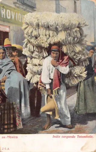 B224 Mexiko Indio cargando Totomostle Indianer Ethno Vintage Postkarte