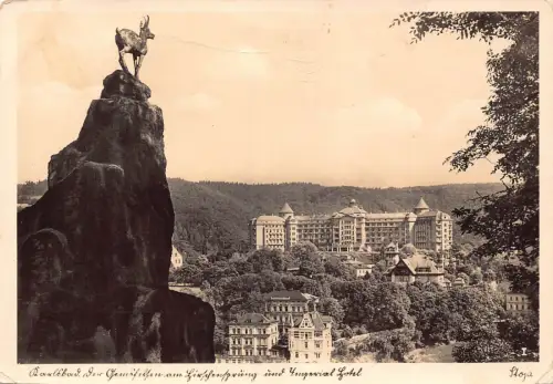 B234 Tschechien Karlsbad Karlsbad Hirschsprung RPPC Vintage Postkarte