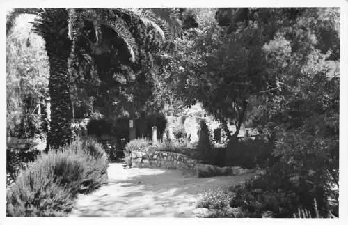B238 Israel Gartengrab Jerusalem RPPC Vintage Postkarte