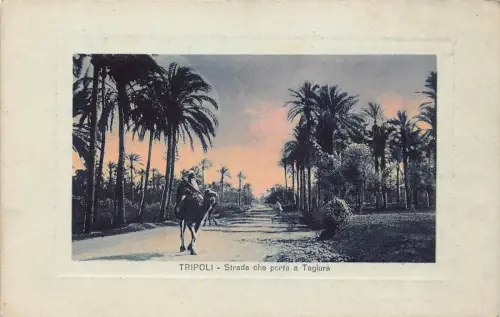 B239 Libyen Tripolis Strada che porta a Tagiura Kamele Passepartout Postkarte