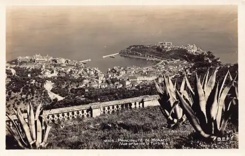 B241 Monaco Vue prise de la Turbie RPPC Vintage Postkarte