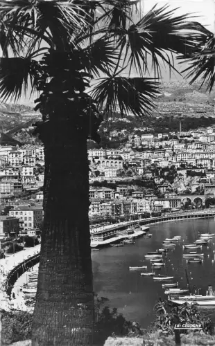 B241 Monaco 1959 Port et la Condamine RPPC Vintage Postkarte