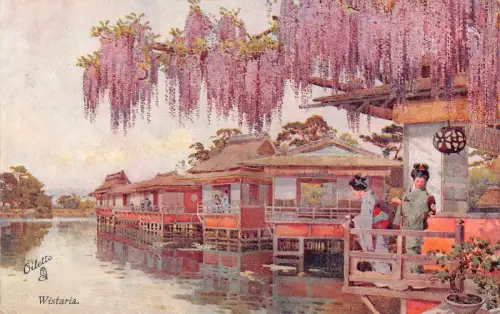 B243 Japan Wistaria Blumen Geishas Kunst Vintage Postkarte