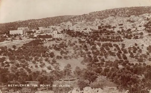 B244 Israel Bethlehem Der Ölberg Vintage Postkarte