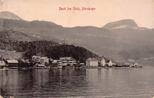 B244 Norwegen Hardanger 1910 Parti fra Ulvik Vintage Postkarte