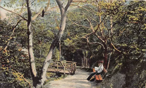 B247 Schottland Auchmountain Glen Lady Lesung auf Bank Vintage Postkarte