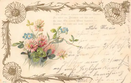 B249 Blumen 1902 Distel Vergissmeinnicht Kleeblatt Gedicht Litho Postkarte