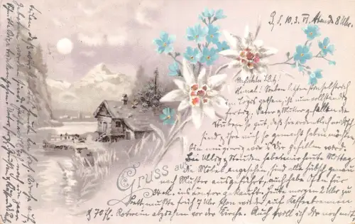 B249 Gruß 1901 Gruss aus Blumen Edelweiß Mondscheinhaus Litho Postkarte