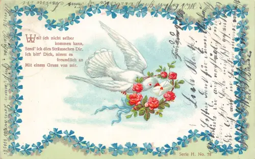 B250 Grüße 1905 Vergissmeinnicht Rosen Brief Taube Vogel Postkarte
