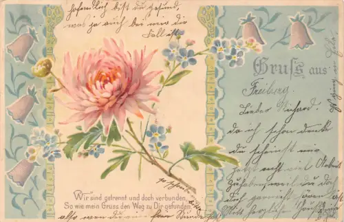 B249 Gruss aus 1901 Chrysantheme Vergissmeinnicht Glockenblumen Litho Postkarte