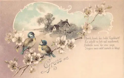 B249 Frühlingsgrüße Gruss aus Singvögel Blumen Haus Gedicht Postkarte