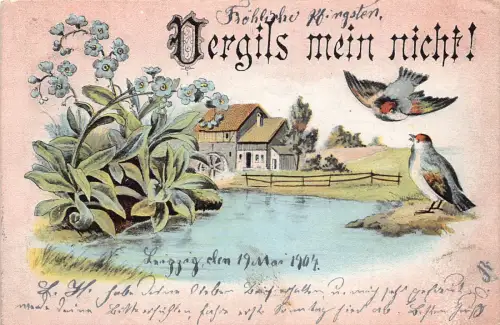 B250 Vergiss mein nicht 1904 Vergissmeinnicht Blumen Singvögel See Postkarte