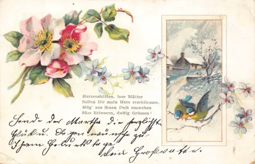 B250 Frühlingsgrüße 1902 Wildrosen Blumen Singvögel Winterszene Postkarte